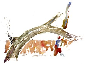 wood, akvarel - Watercolor by Frits Ahlefeldt Bornholm Coast path