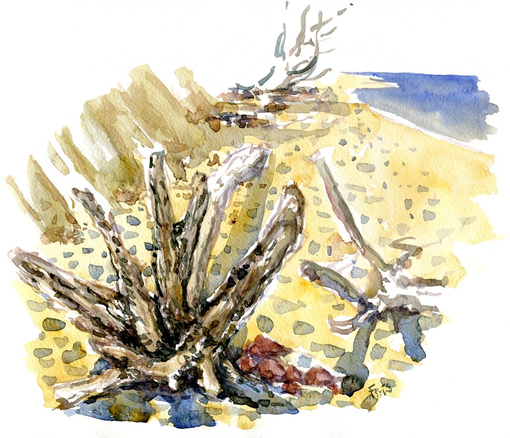 trees, akvarel - Watercolor by Frits Ahlefeldt Bornholm Coast path