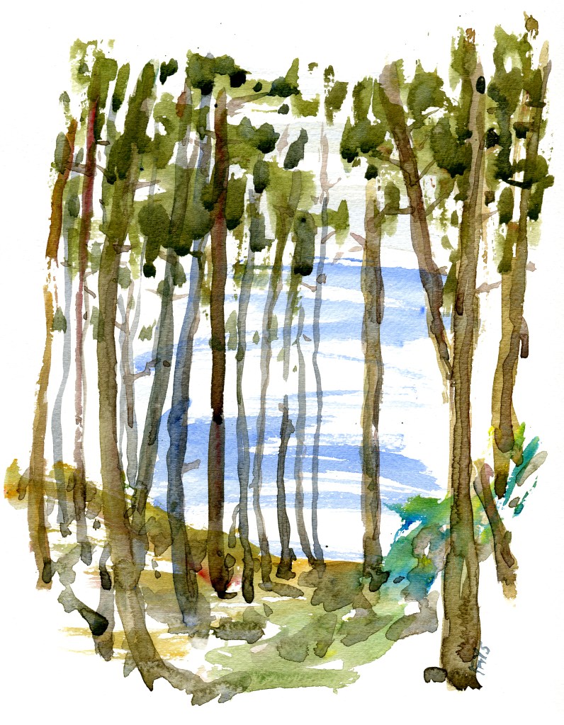 forest, akvarel - Watercolor by Frits Ahlefeldt Bornholm Coast path