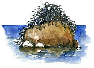 creatue, akvarel - Watercolor by Frits Ahlefeldt Bornholm Coast path