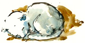 cat, akvarel - Watercolor by Frits Ahlefeldt Bornholm Coast path