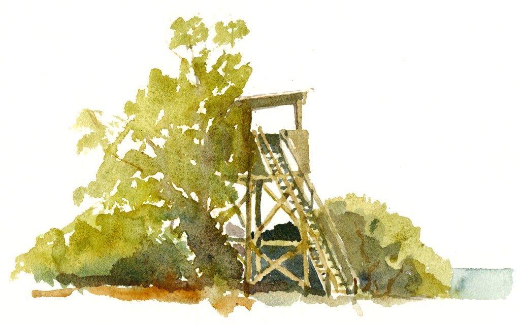 Birdwatching tower, nexo. akvarel - Watercolor by Frits Ahlefeldt Bornholm Coast path