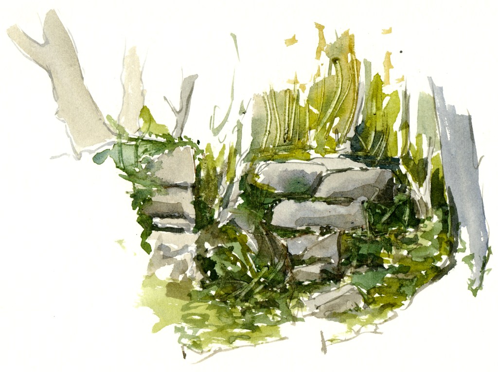 path, East coast akvarel - Watercolor by Frits Ahlefeldt Bornholm Coast path