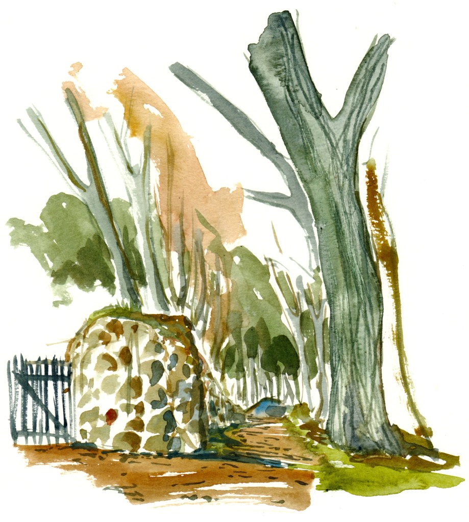 Kyststien, Rønne, akvarel - Watercolor by Frits Ahlefeldt Bornholm Coast path